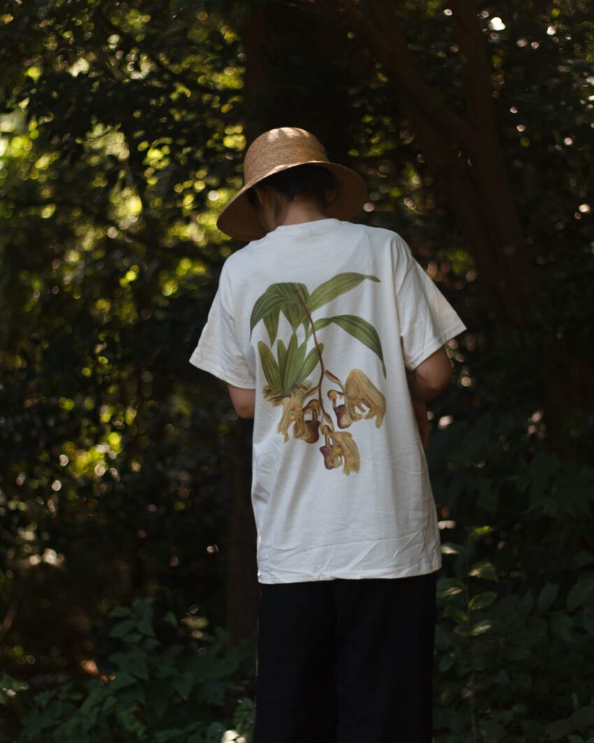 蘭/A Tシャツ
