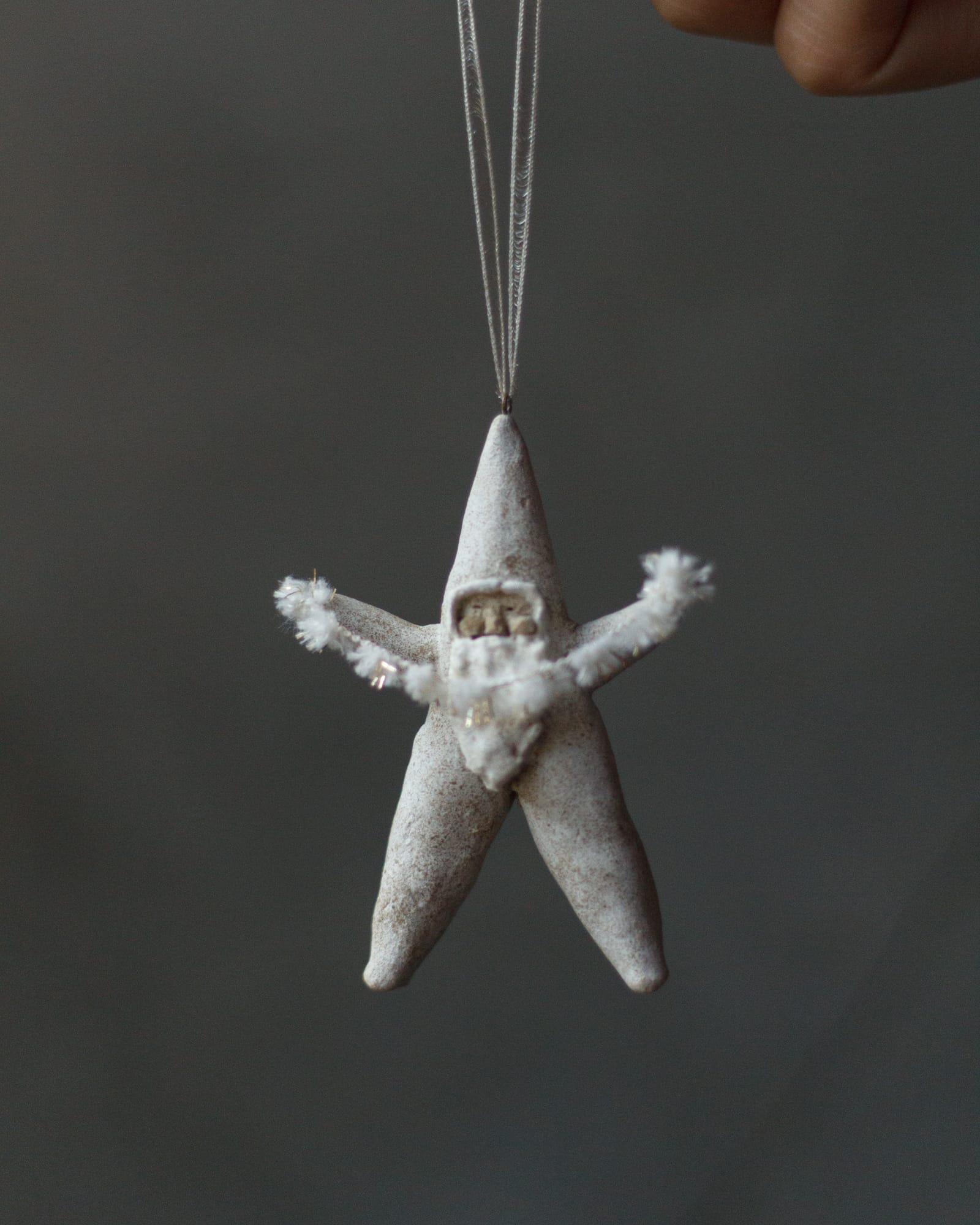 クリスマス-撮影日_25年12月08日10時28分23秒