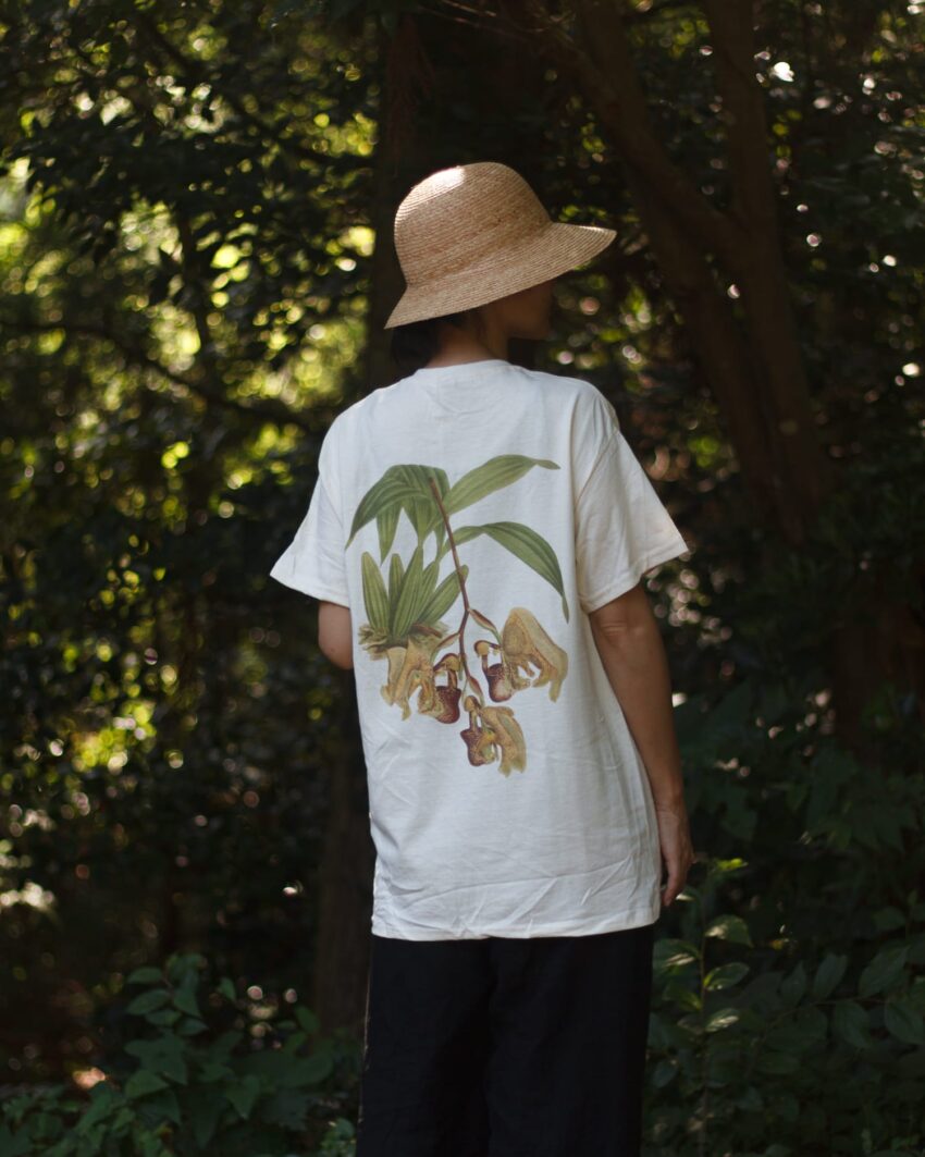 蘭/A Tシャツ
