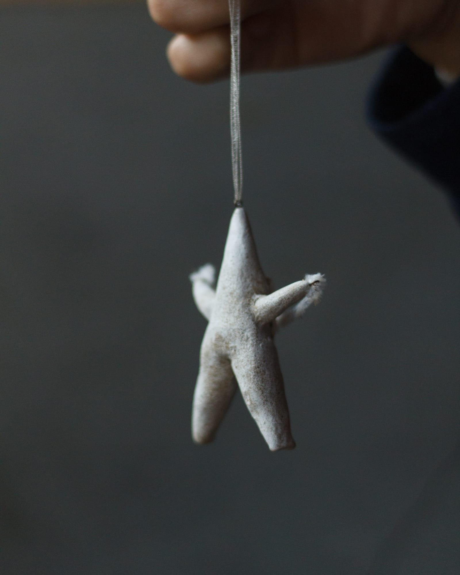 クリスマス-撮影日_25年12月08日10時28分37秒