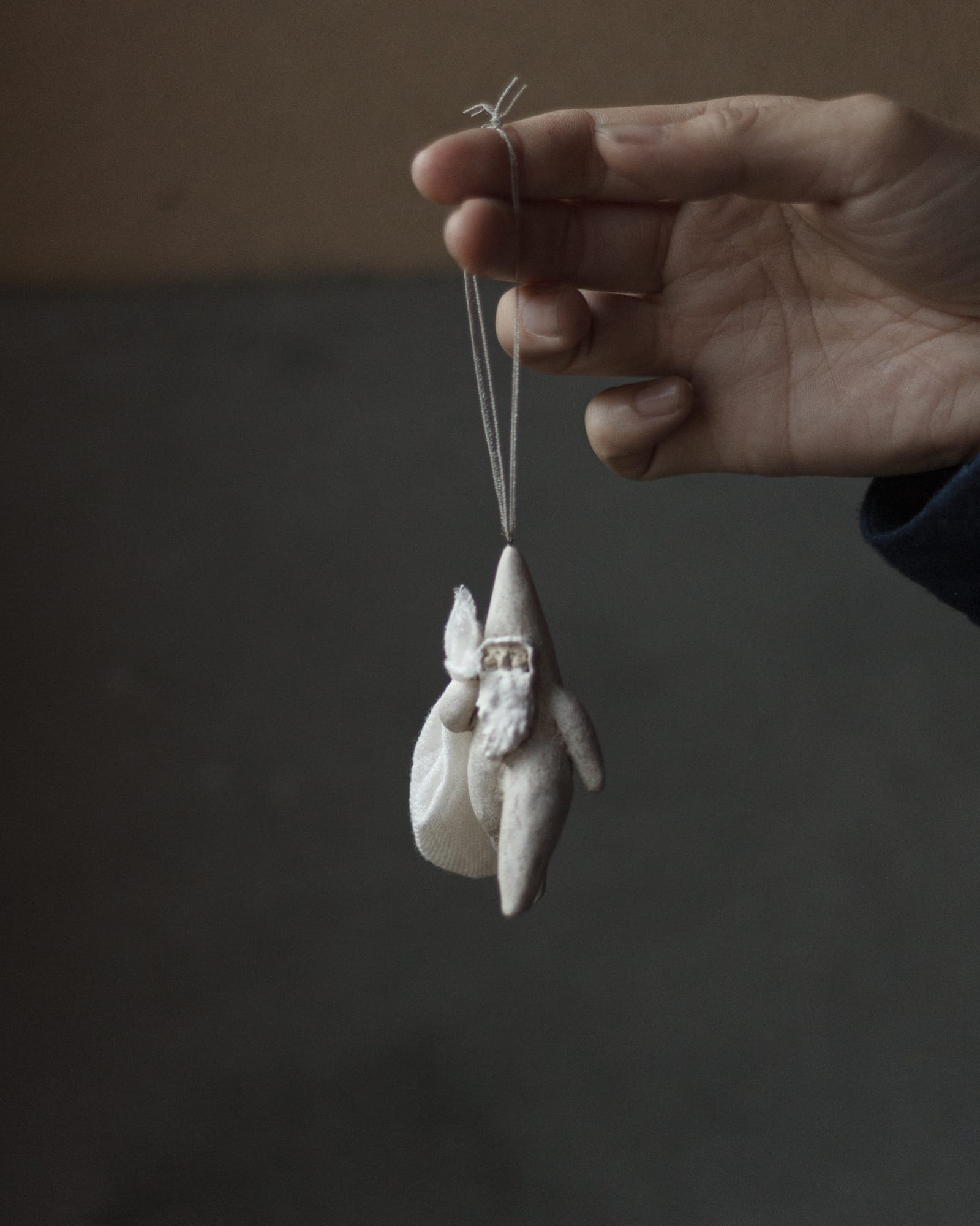 クリスマス-撮影日_25年12月08日10時26分47秒