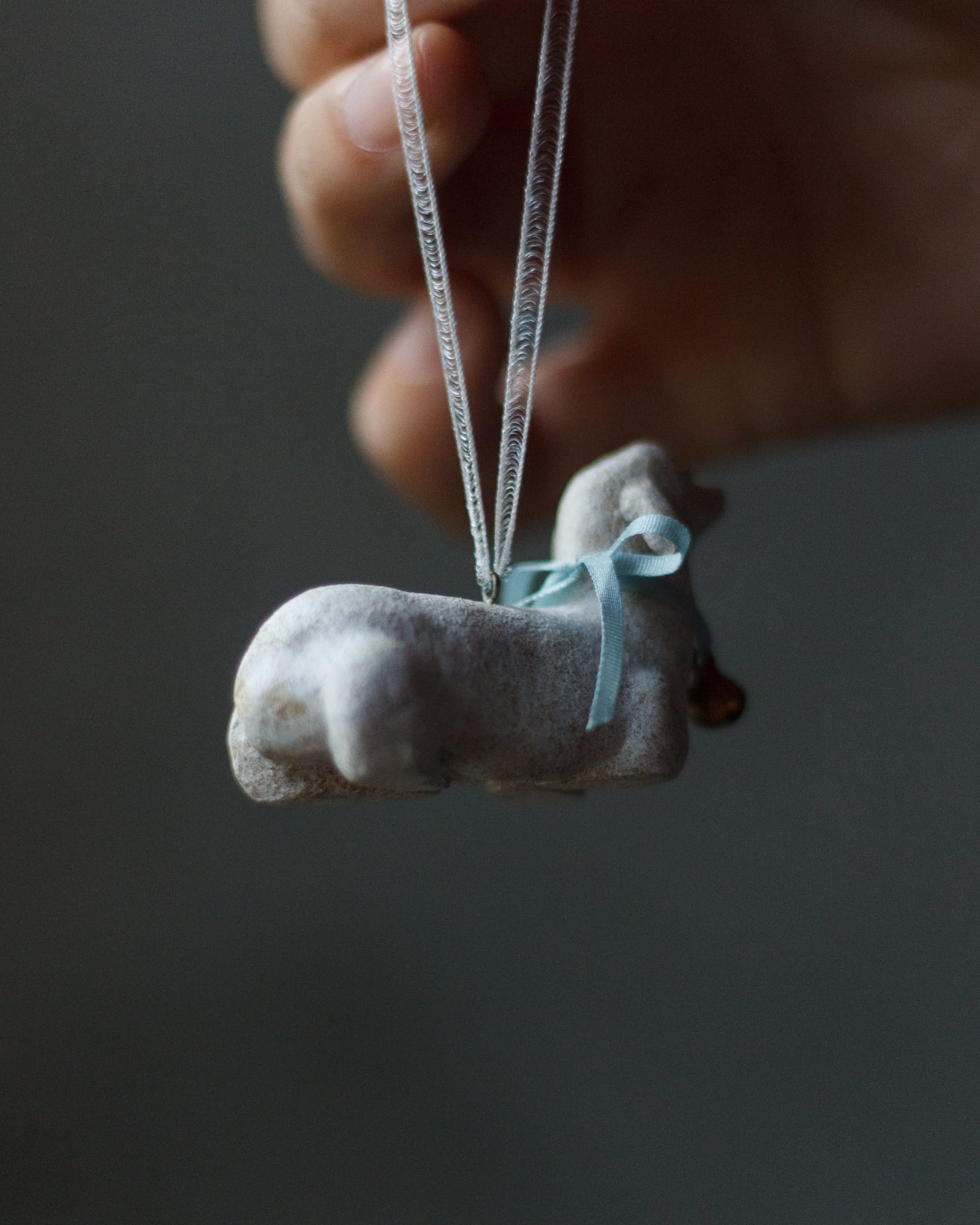 クリスマス-撮影日_25年12月08日10時29分38秒