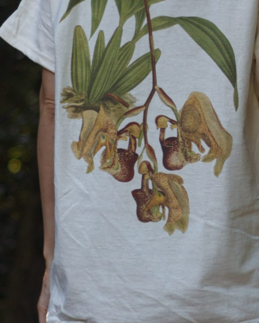 蘭/A Tシャツ