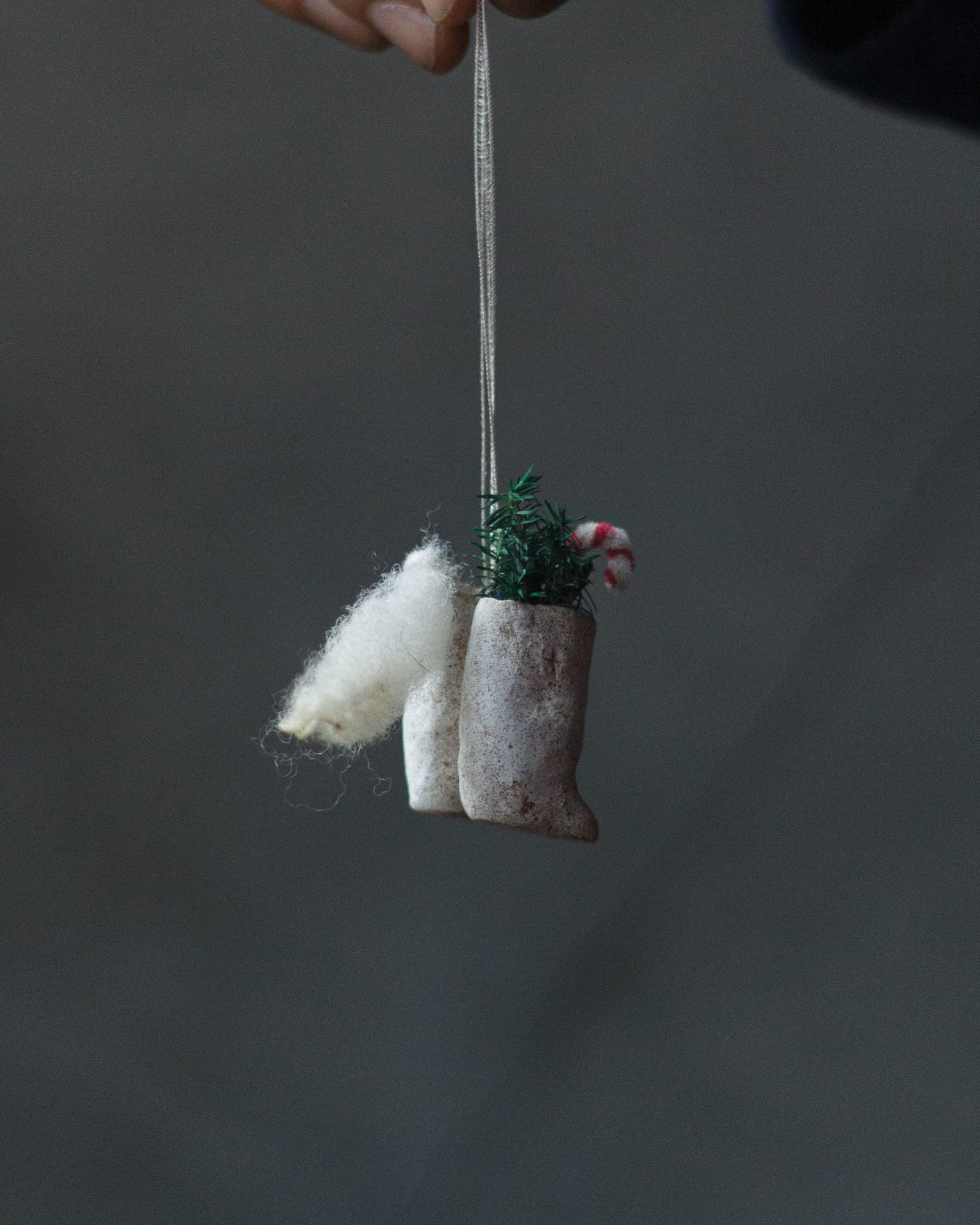 クリスマス-撮影日_25年12月08日10時31分31秒