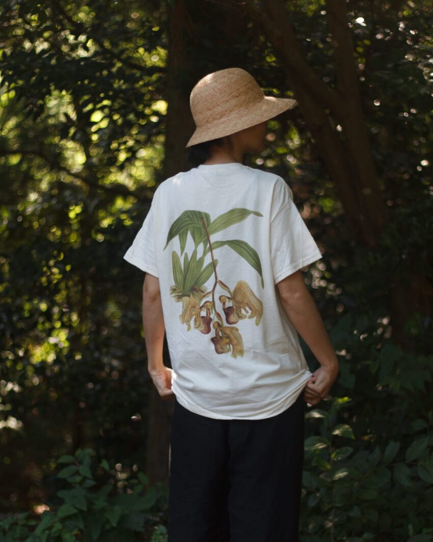 蘭/A Tシャツ