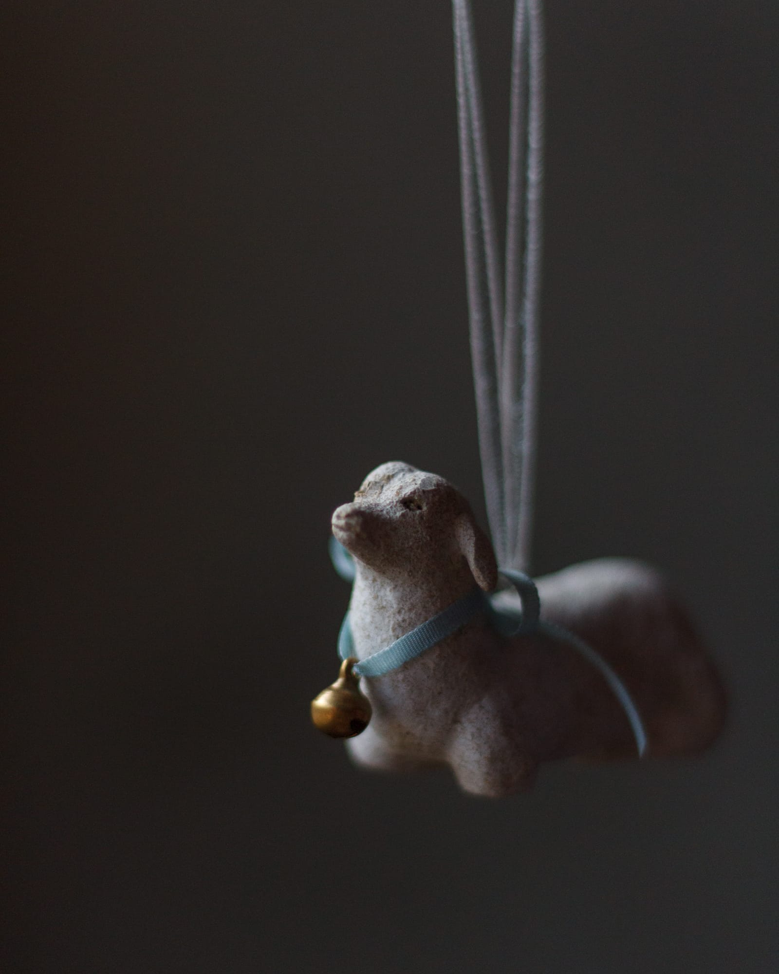 クリスマス-撮影日_25年12月08日10時29分27秒