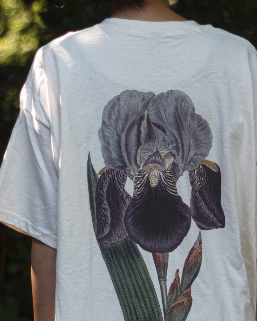 蘭/B Tシャツ