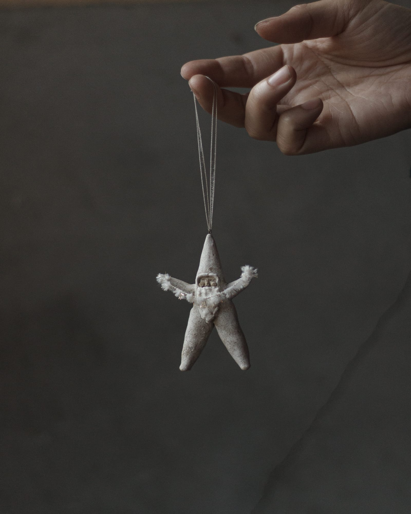 クリスマス-撮影日_25年12月08日10時28分17秒