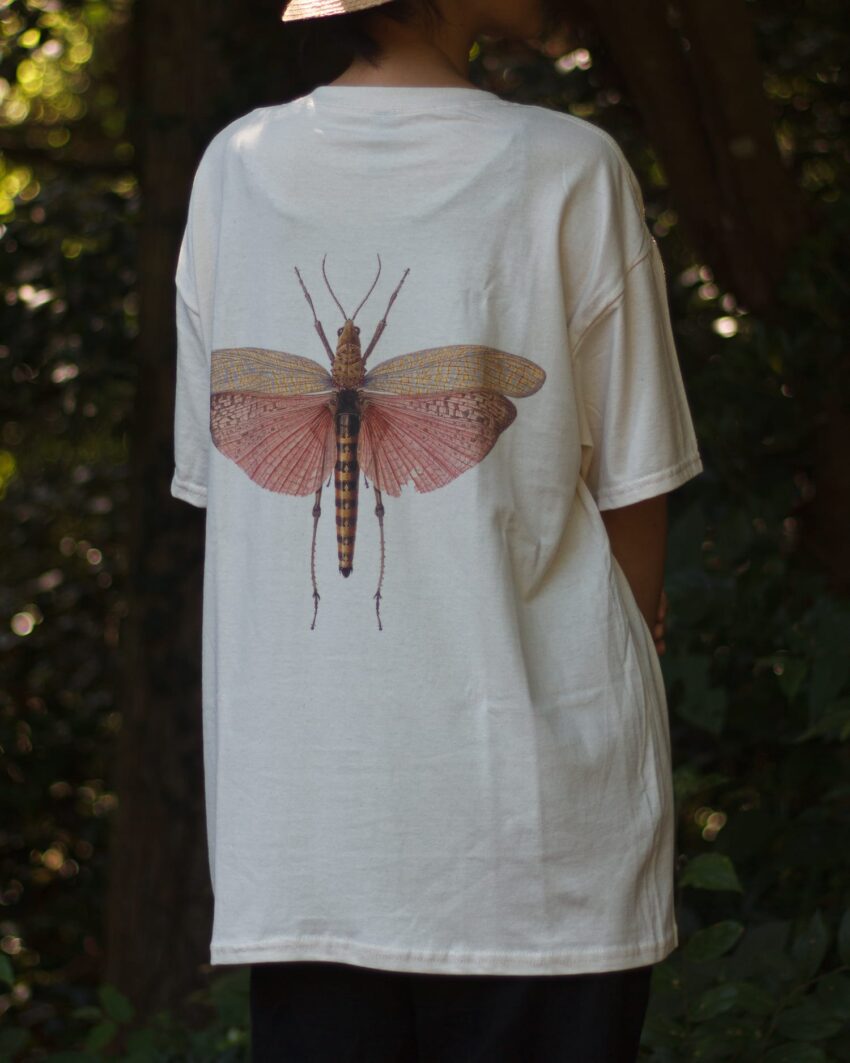 バッタTシャツ