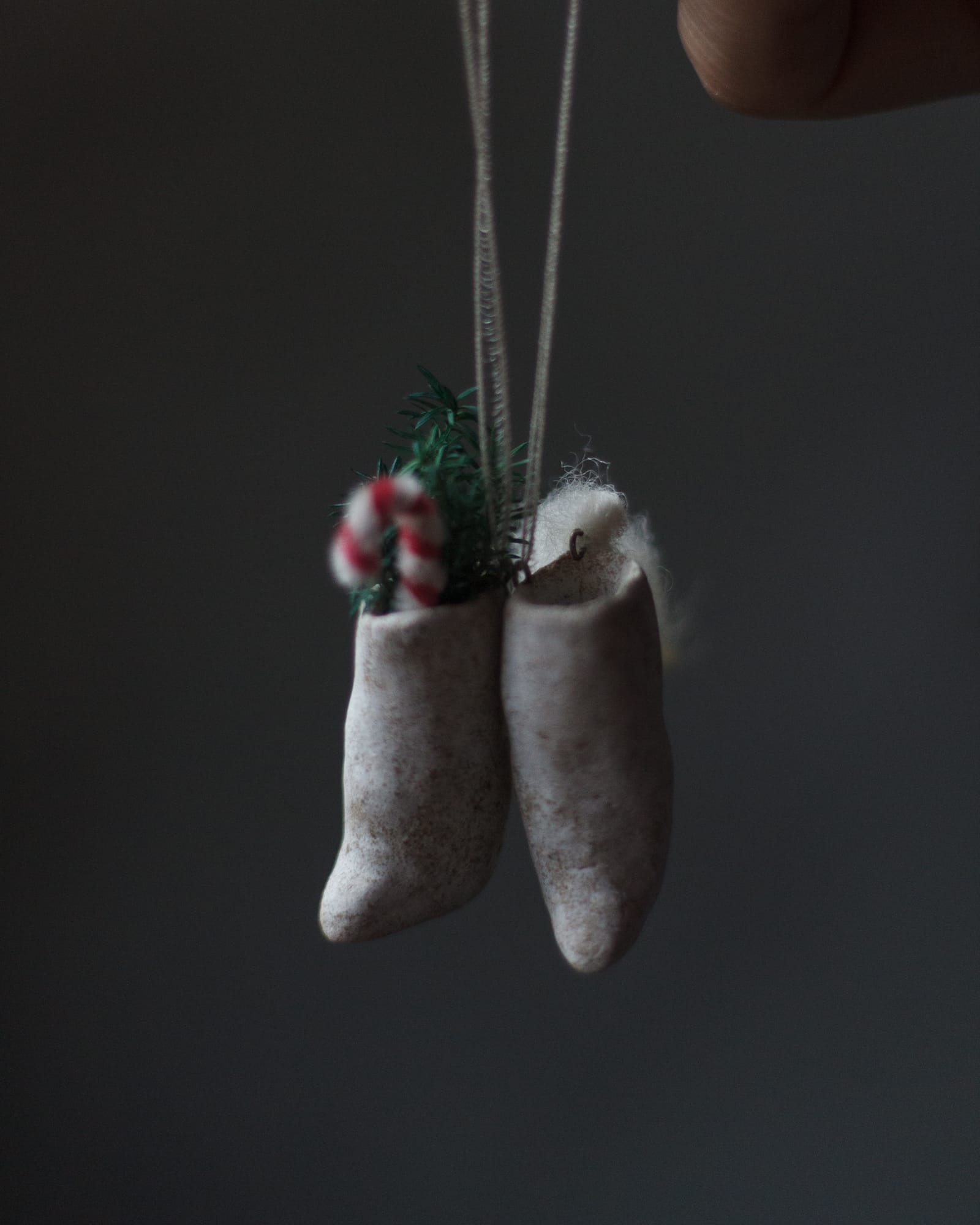 クリスマス-撮影日_25年12月08日10時32分21秒