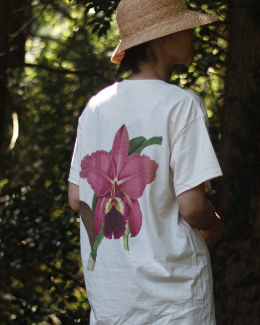 蘭/H Tシャツ