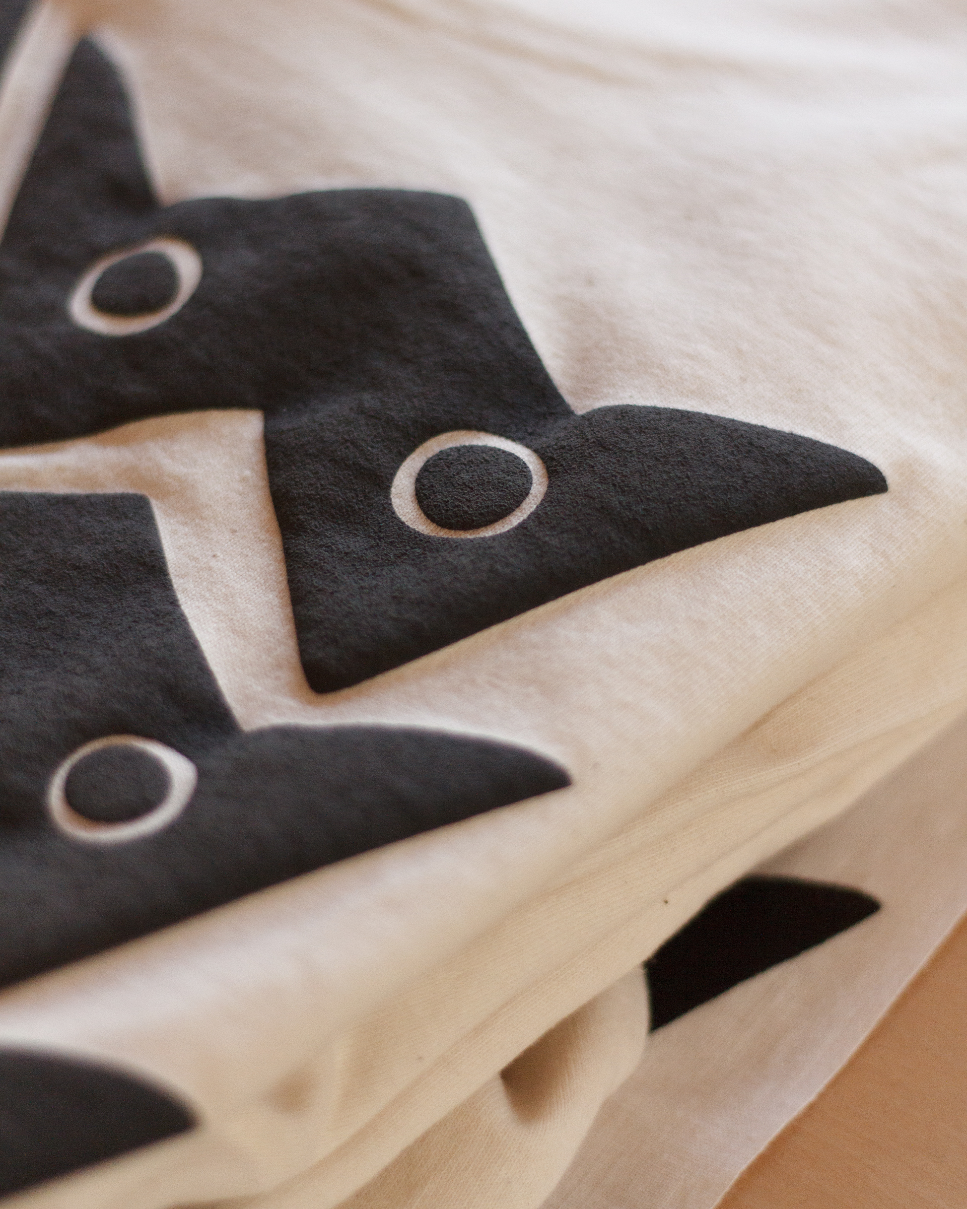 MWロンT-撮影日_26年03月21日11時33分53秒