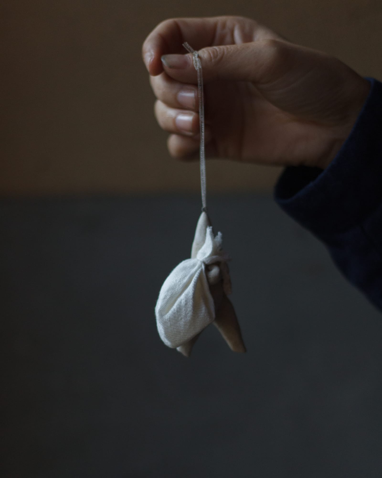 クリスマス-撮影日_25年12月08日10時27分04秒