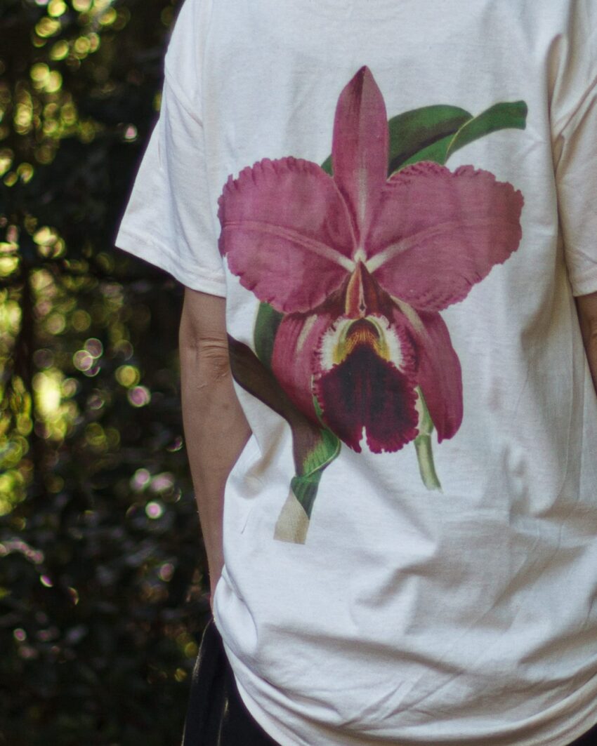 蘭/H Tシャツ