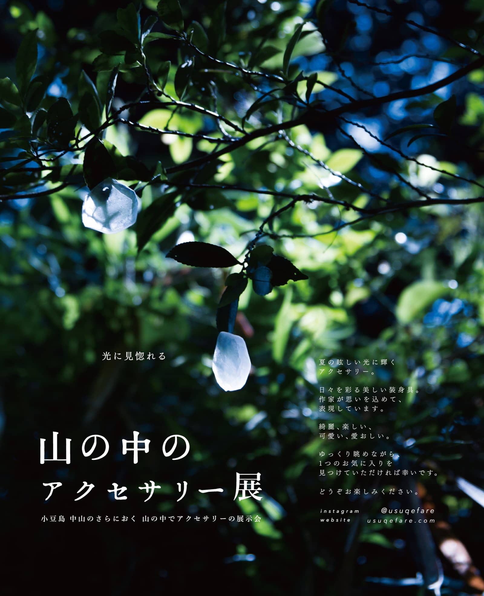 webtop 山の中のアクセサリー展の画像