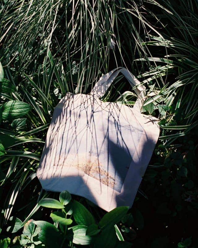tote photo by masumi ishida
